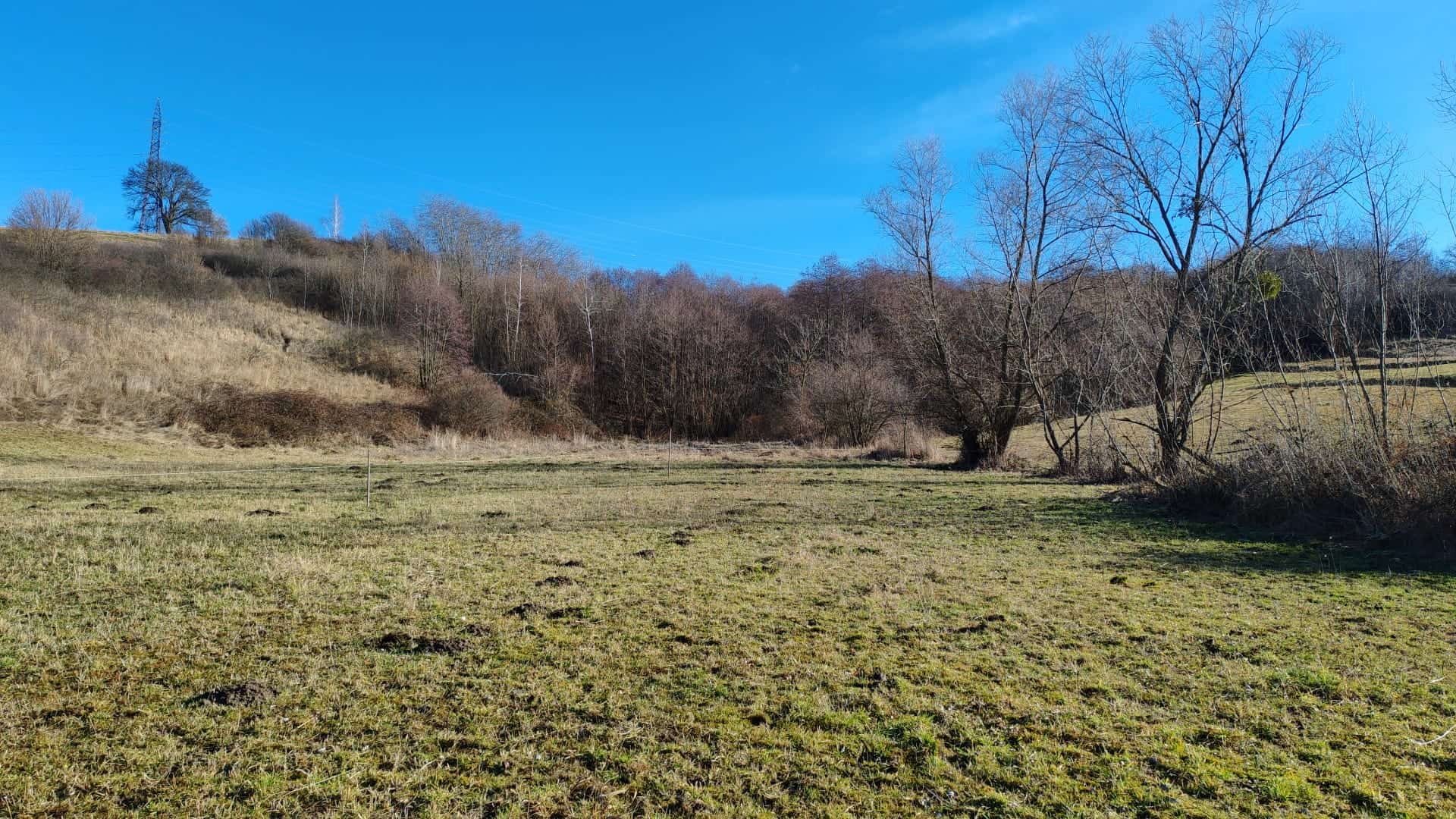 Teren de vânzare Beznea Bihor, proprietate extravilană cu izvor direct pe teren