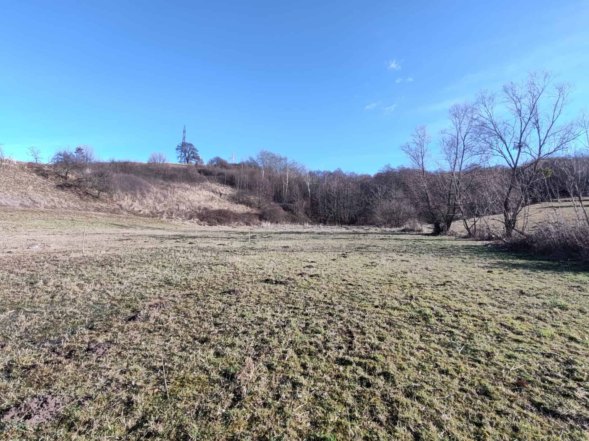 Teren extravilan de vânzare Bihor, 1.800 mp cu zonă verde, copaci și cadru natural