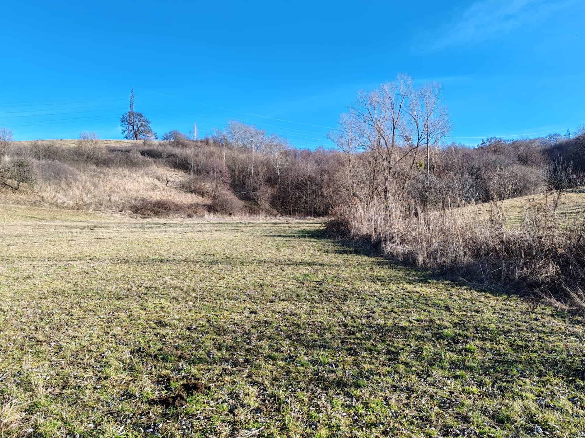 Teren de vânzare Bihor cu izvor pe proprietate și priveliște spre dealurile din zona Bratca Beznea