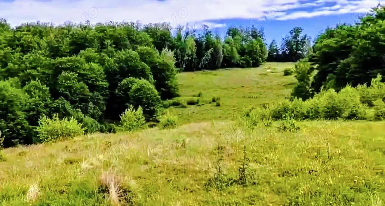 Teren de vânzare la munte în Bulz Bihor cu acces pe drum forestier și cadru natural retras