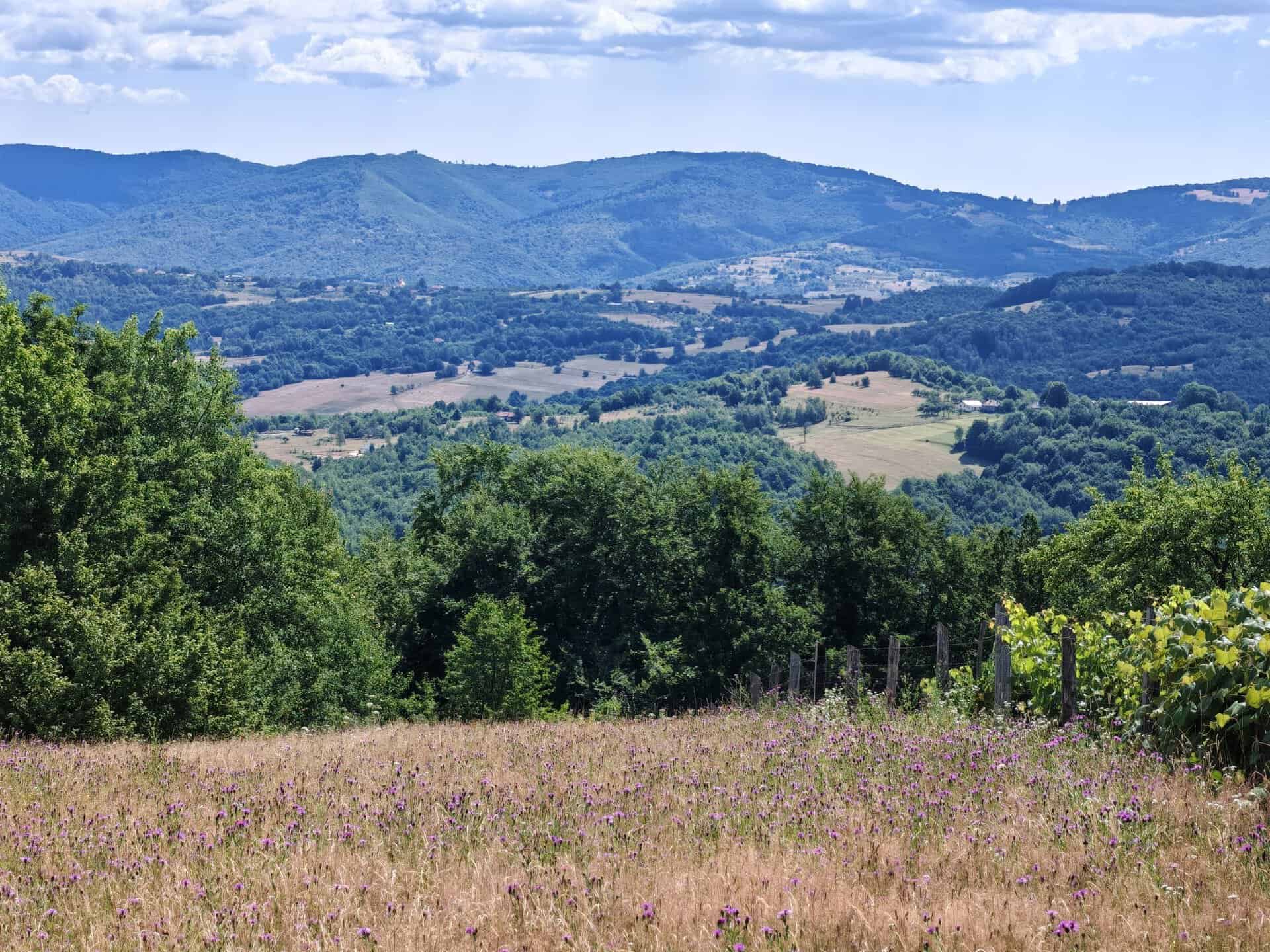 Teren intravilan de vânzare în Osoiele, Negreni, județul Cluj, cu suprafața de 3.940 mp, teren plan și acces pe drum asfaltat