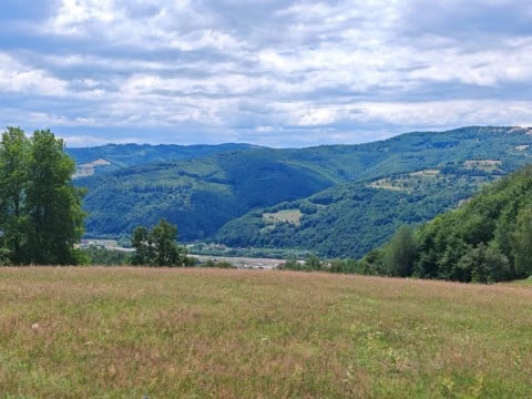 Teren extravilan de vânzare Picleu, Negreni, cu suprafața de 4.829 mp, aproape complet împădurit, în Munții Apuseni