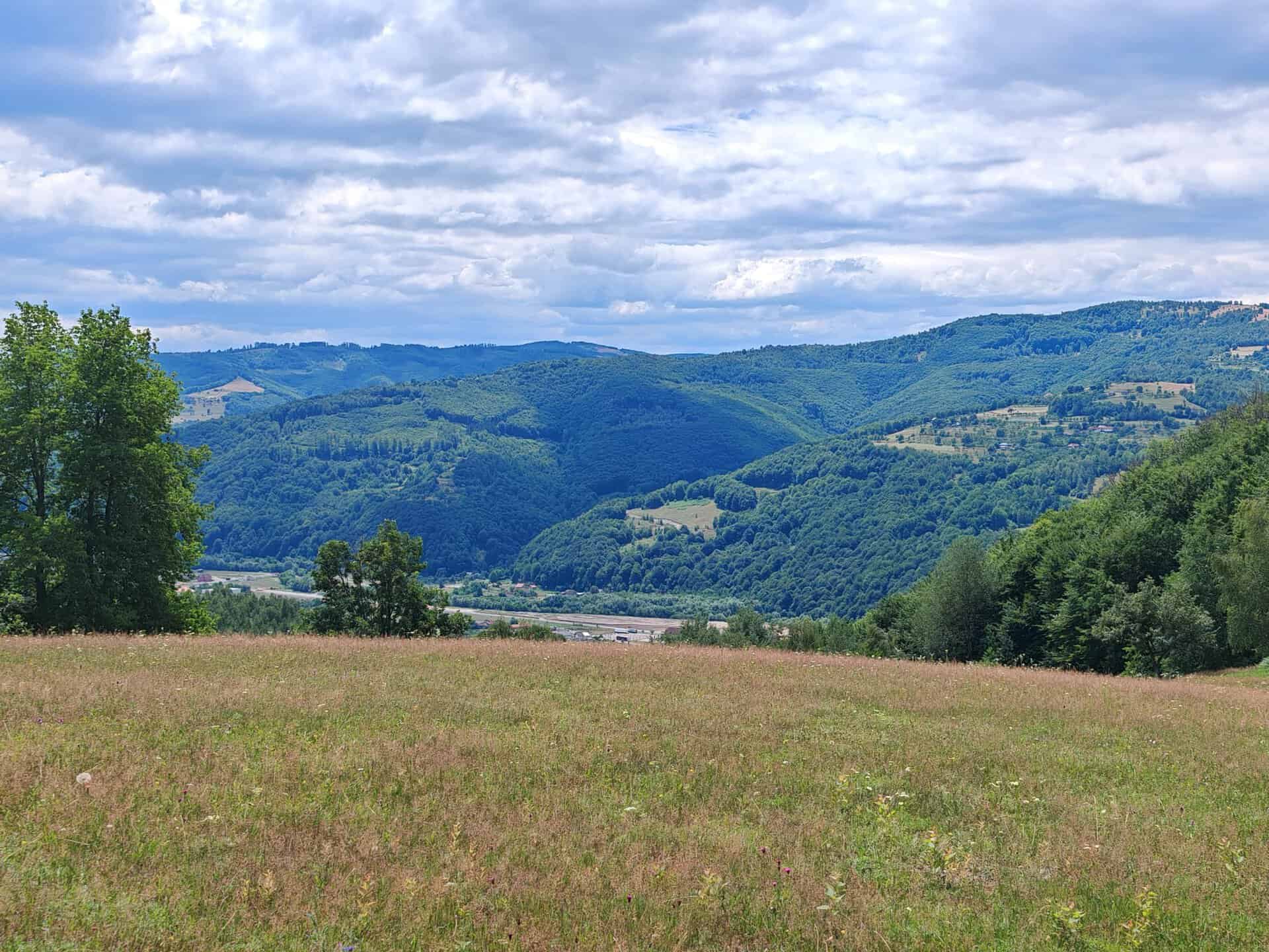 Teren extravilan de vânzare Picleu, Negreni, cu suprafața de 4.829 mp, aproape complet împădurit, în Munții Apuseni