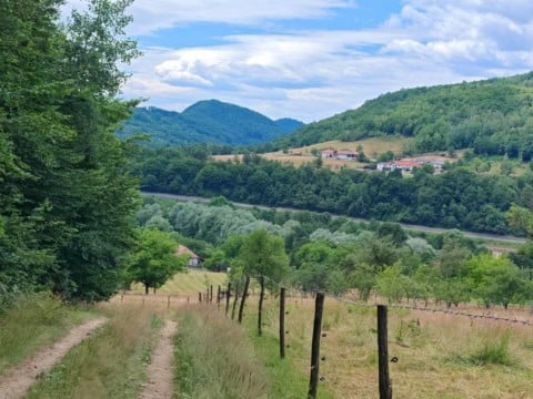 Teren extravilan de vânzare Precup, Negreni, cu suprafața de 8.257 mp, complet împădurit și cu pârâu pe marginea proprietății