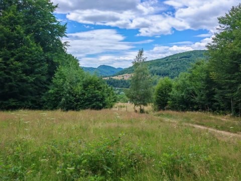poza panoramica teren de vanzare negreni cluj extravilan