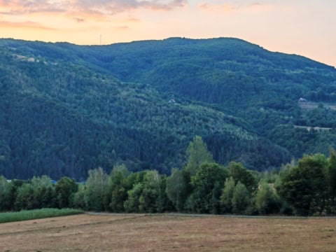 Teren de vânzare Precup Negreni, 13.095 mp cu suprafață plană, deschidere de 110 m și panoramă spre Munții Apuseni