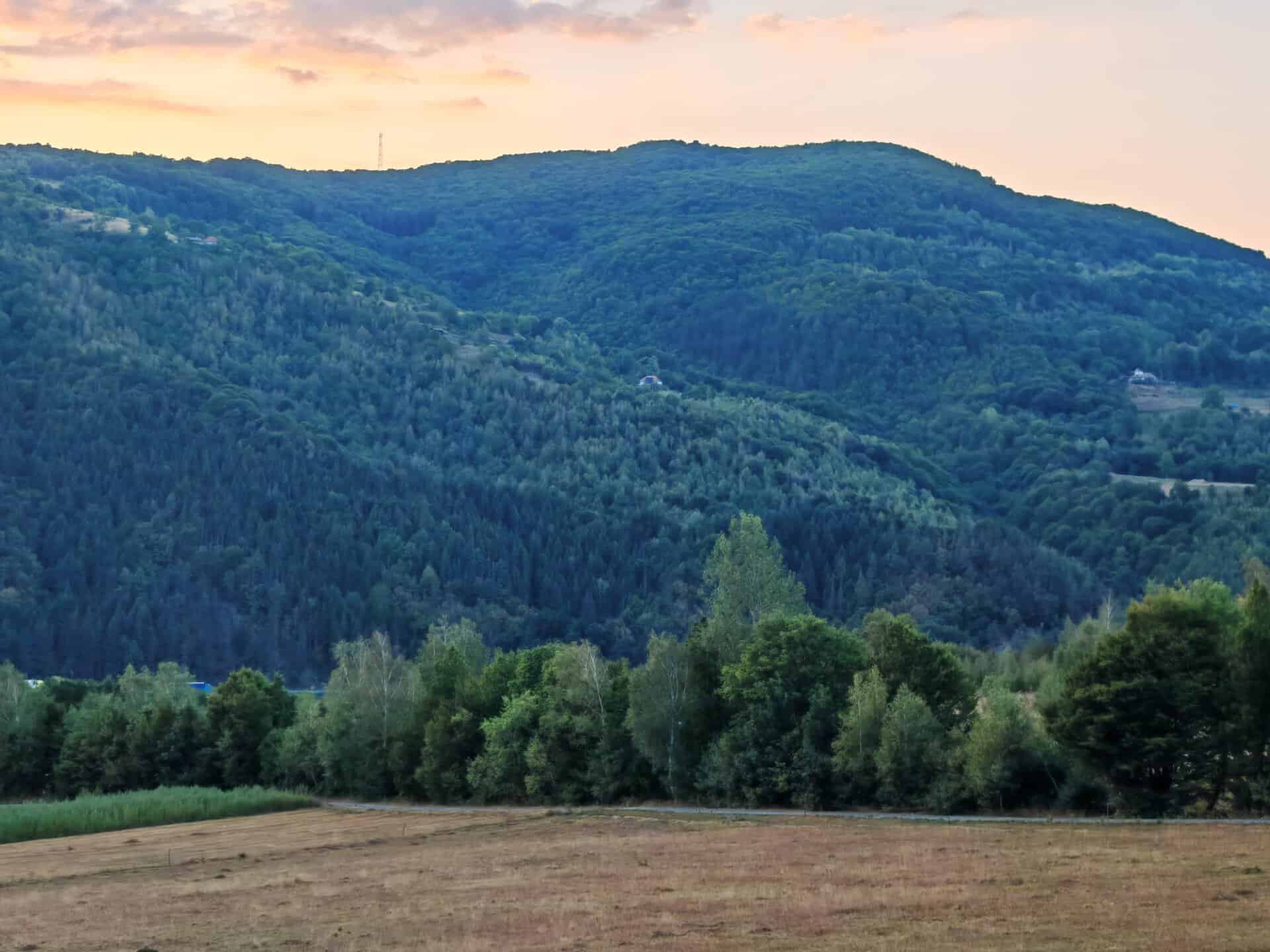 Teren de vânzare Precup Negreni, 13.095 mp cu suprafață plană, deschidere de 110 m și panoramă spre Munții Apuseni