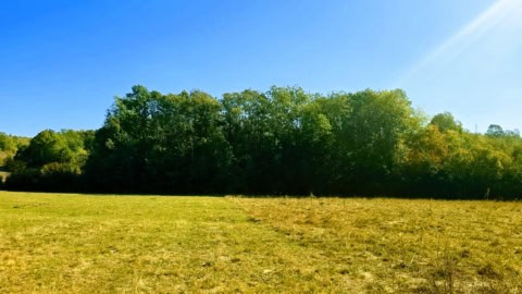 Teren de vânzare Bulzești Dolj, 8.500 mp de pădure în satul Prejoiu, cu acces din două laturi și intimitate totală